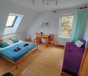 Olszynka Apartment | Studio I Pokoje I Pokoje z łazienkami