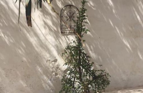 La Asomada Apartment | Studio III at orig. Finca, sea views