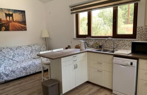 Pentakomo Apartment | STUDIO in CAPTAINS HOUSE WITH A POOL