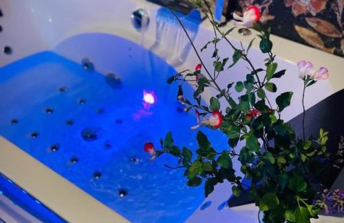 Montaigu-le-Blin Apartment | Studio intimiste avec jacuzzi près de Vichy - FR-1-489-520