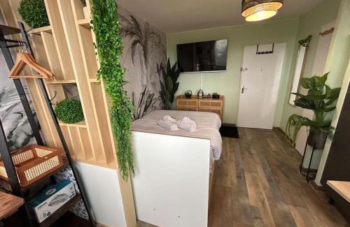Chartres Apartment | Studio le Cosy Jungle