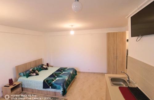 Mangalia Apartment | Studio Lorena