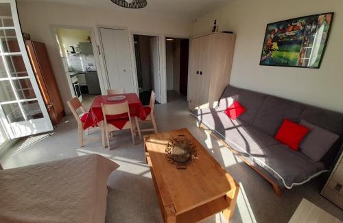 La Roche-Posay Apartment | Studio lumineux centre-ville La Roche-Posay avec WI-FI, lave-linge, lave-vaisselle, animaux admis - FR-1-541-131