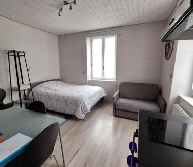 Les Rousses Apartment | Studio meublé rénové superbes prestations proche Hyper Centre - Résidence La Fresnaie