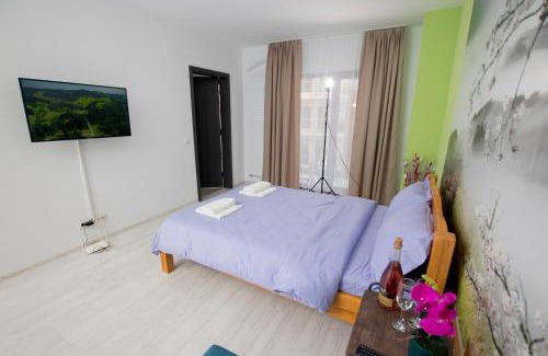 Drumul Taberei Apartment | Studio Moghioros Park