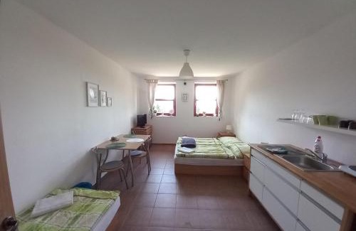Cerny Dul Apartment | Studio na horách