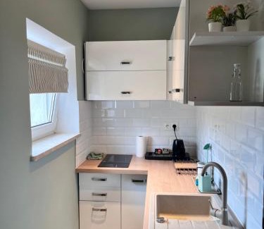 Bytom Apartment | Studio Orzeł Biały