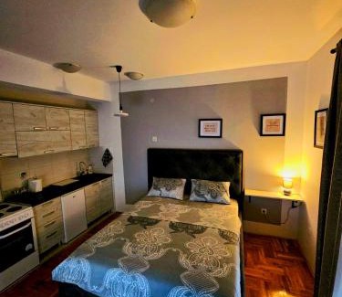 Podgorica Apartment | Studio Place 8
