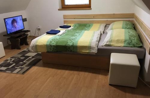 Spisske Tomasovce Apartment | Studio Pohoda Na Razcesti Cingov Slovensky Raj