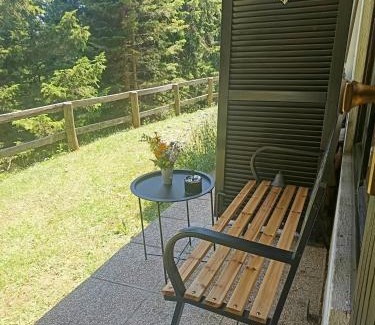 Ambroz pod Krvavcem Apartment | Studio Queen Alpine