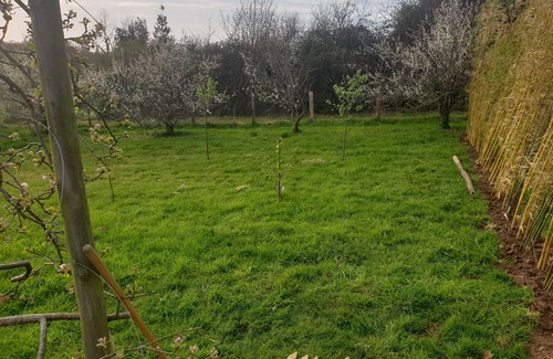 Pennedepie House | Studio Récent Pour 3 ou 4 Personnes