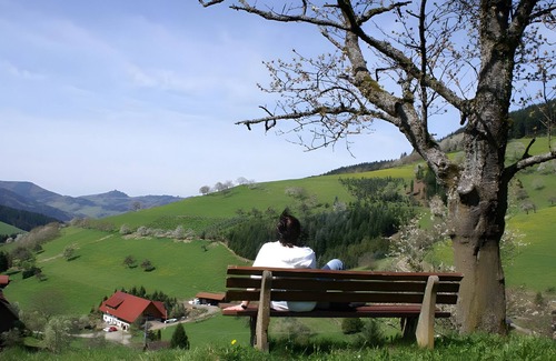 Zell am Harmersbach Apartment | Studio 'Rehblick' with Shared Garden and Wi-Fi