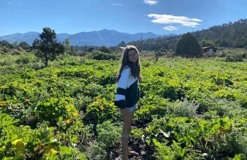 San Cristobal House | Studio-Style Log Cabin near Carson National Forest, New Mexico