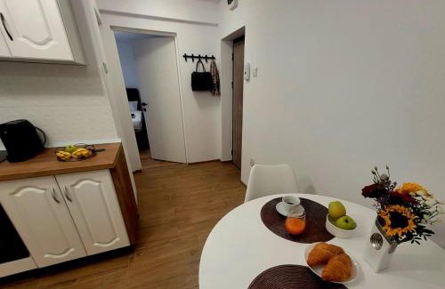 Hunedoara Apartment | Studio TAD HOUSE Hunedoara