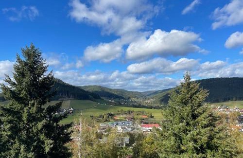 Baiersbronn Apartment | Studio Tonbachblick Baiersbronn