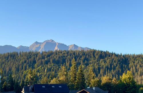 Waldhaus Flims Apartment | Studio Top im des Alpes