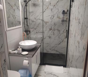 Vata de Jos Apartment | Studio Vata