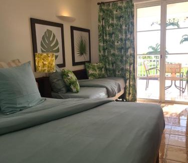 Gros Raisins Apartment | Studio vue mer sainte Luce