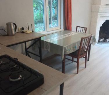 Zugdidi Apartment | studio with a fireplace