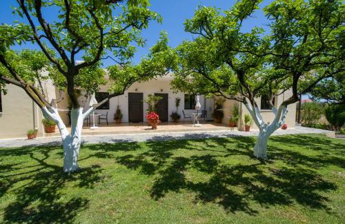 Pyrgos Psilonerou Apartment | Studios Kydonia