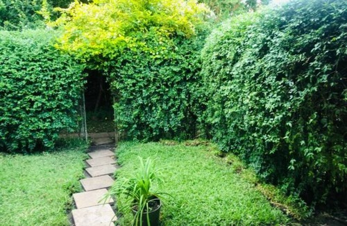 Harare East Apartment | Stunning Private Apartment with a Beautiful Garden Oasis!