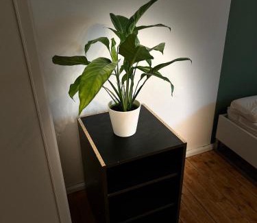 Schweinfurt Apartment | Stylische Wohnung in zentraler Lage