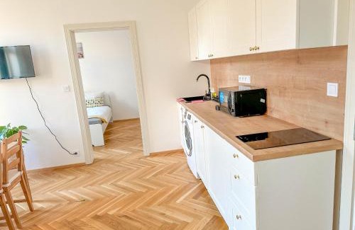 Nove Mesto Apartment | Stylish Apartment Next To Wenceslas Square