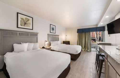 Williamsburg Hotel | Suburban Studios Williamsburg Central