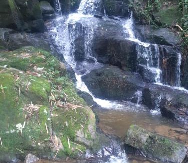 Nova Friburgo Cabin | Suite 4