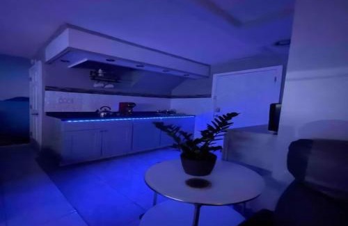 Georgetown Apartment | Summer Getaway in Brooklyn Private Room, Bath, Kitchen & Backyard