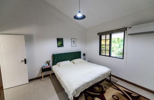 Capital Hill House | Summer Stay