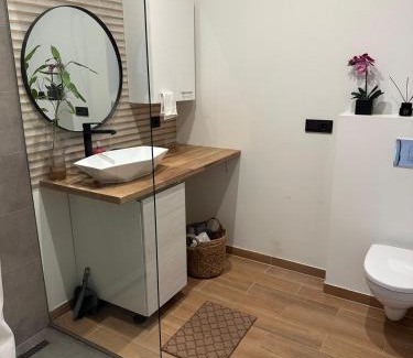 Birzgale Apartment | SunCoast terrace apartment