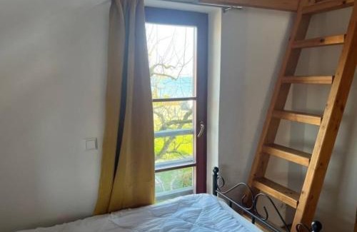 Franken Siedlung Apartment | Sundblick