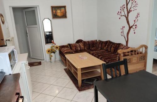 Zweibruecken Apartment | Sunflower