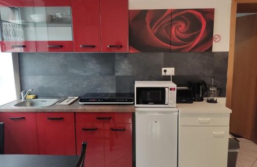 Zweibruecken Apartment | Sunflower