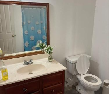 Reading House | Sunlight Radiance Room