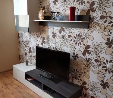 Kedainiai Apartment | Sunny apartment Kėdainiai