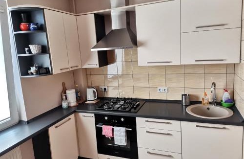 Kedainiai Apartment | Sunny apartment Kėdainiai