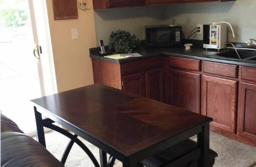 Tree Streets Apartment | Sunny lower level house with epic MTN views