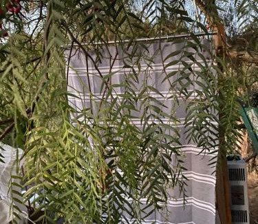 Valley Center Other | Sunset Dome - Outdoor Shower/Composting Toilet