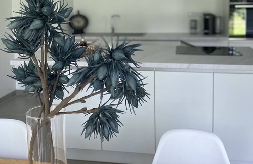 Villers-le-Lac Apartment | Superbe Appartement Avec Jardin vue sur la Vallée