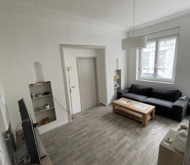 Forbach Apartment | Superbe appartement rénové au centre de Forbach