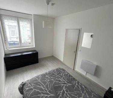 Forbach Apartment | Superbe appartement rénové au centre de Forbach
