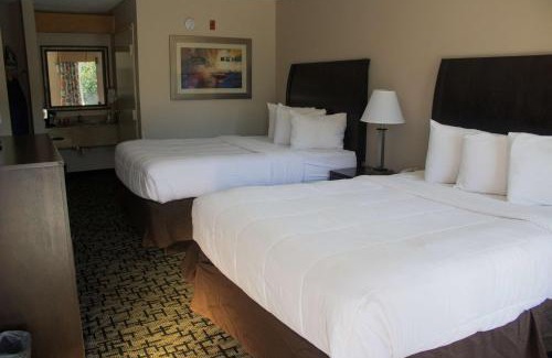 North Myrtle Beach Hotel | SureStay Hotel by Best Western North Myrtle Beach
