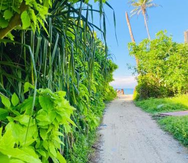 Matara House | Surfing Waves Madiha