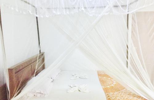 Matara House | Surfing Waves Madiha