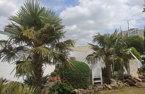 Burgsteinfurt Apartment | Svens apartment 45 sqm for 2 persons with pool and palm garden
