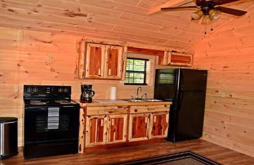 Buchanan House | Swan Bay Cabins & RV Park Cabin#(3) Paris Tn, Kentucky Lake