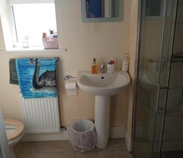 Lisdoonvarna Apartment | Swan Studio Haven