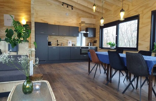 Grou House | Swarm - 3 Waterlodges Naast Elkaar in Friesland